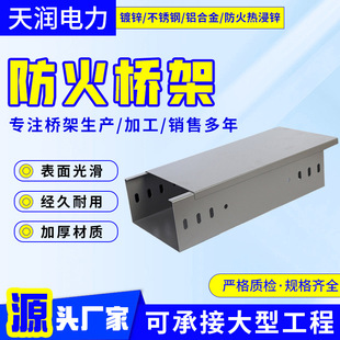 Fire-proof plastic spraying cable tray manufacturer metal tray hot galvanized plastic spraying trunking galvanized fire-proof spraying trunking
