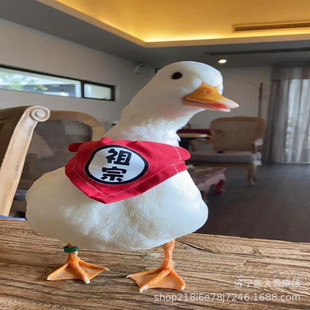 �Ơ����������չ�[���U� ������w�����^�p���҃Ȍ���Ơ���