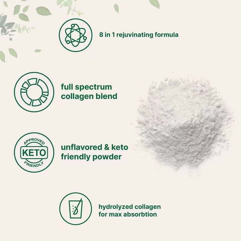 TK hot -selling collagen powder Multi Collagen Peptides Powder Factory