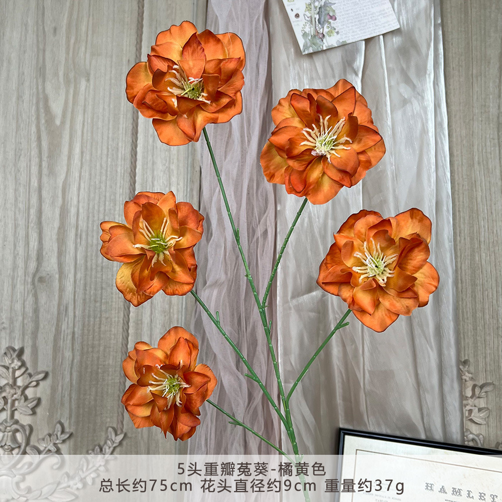 TY-5 Celosia Cockscomb hoa đôi - Màu cam