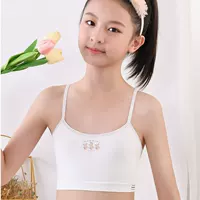 Fa Summer Wireless Bra for Girls, Soft Support Straps, 4 Color Options: Light Blue, Gray, Powder, White