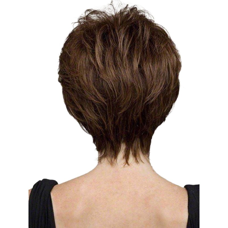Women's Simple Style Street High Temperature Wire Short Curly Hair Wig Net display picture 2