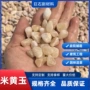 铺路庭院定制黄色石子