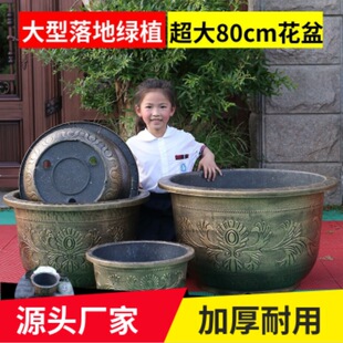 ͥԺ�e���ش����֬�Ӻ�¹��~����ŵ�N�ɻ��F���辰�������l