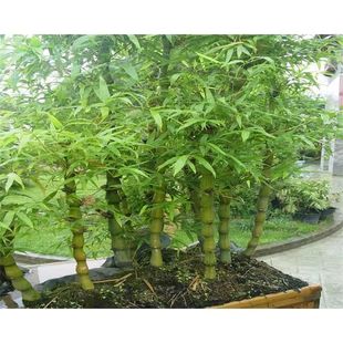 �^�~�_�h����С���^�p���ڷ�������F���҃Ⱦ��^�ļ�������������