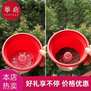 ���]/����|ƬB1P60-����׿׾W�|�|�W�������@ˇ��