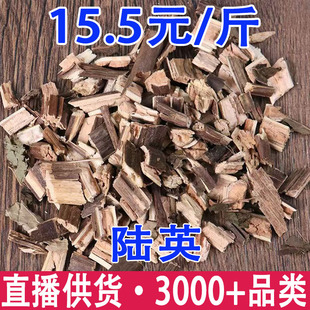 �ӹǲ� �Ӣ  �Ӣ ������ ���~���l���l