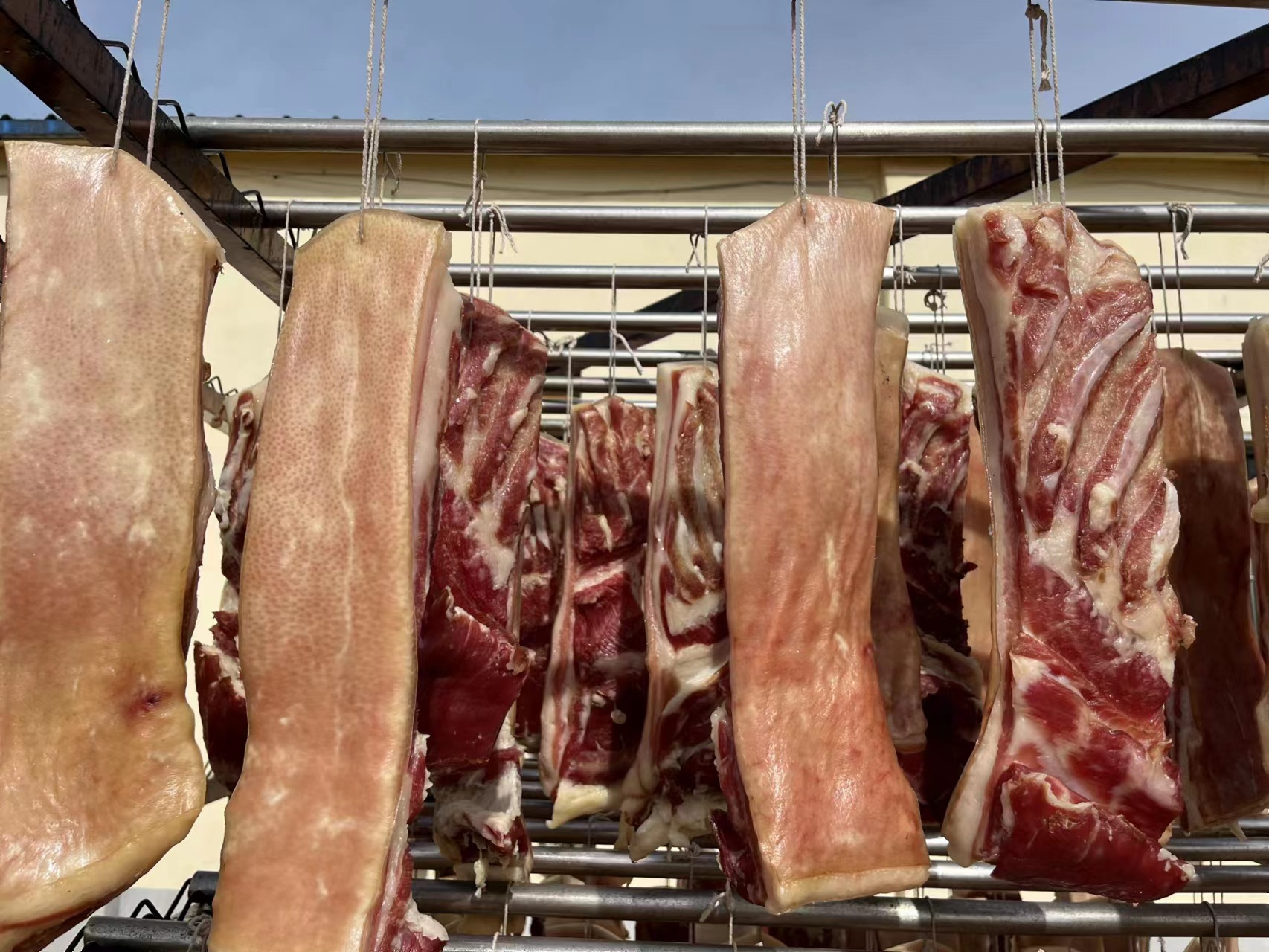 微信图片_20230813180830 - 副本 - 副本