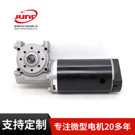 厂家定 制平开门电机自动门电梯门电机 蜗杆电机直流电机蜗轮批发