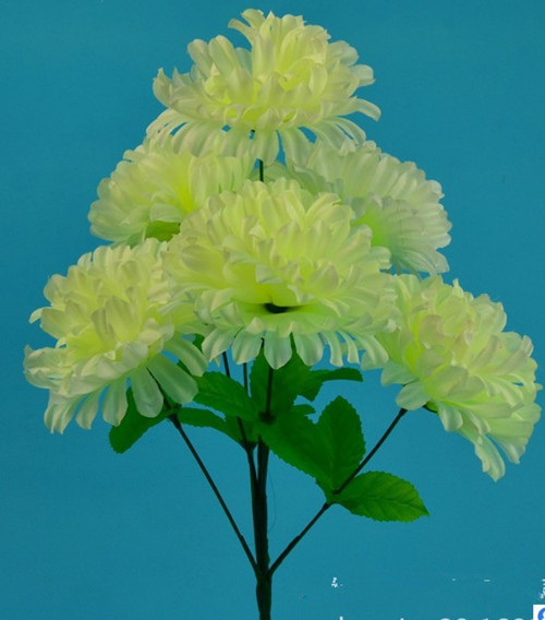 7 white in stock, milky white