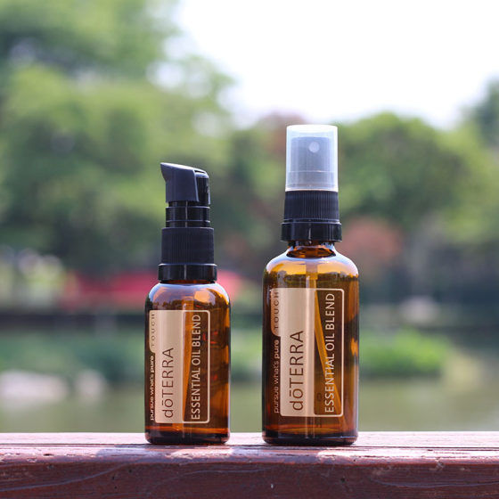 Wholesale Dotteri 5ml 50ml Dropper Bottle Essence Oil Bottle Perfume Bottle Spray Bottle Roller Bead Bottle Glass Bottle Split Bottling