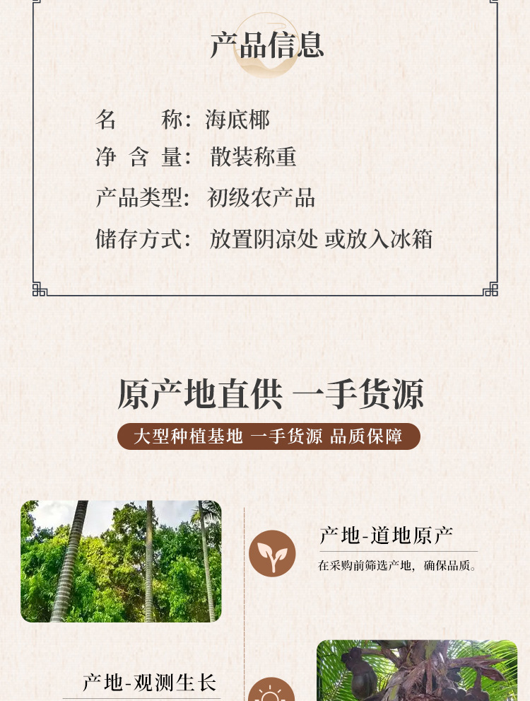 Hai Di Coconut Dried Slices Sea Coconut Herbal Ingredient for Soup and Dessert Bulk Weighted quality and texture
