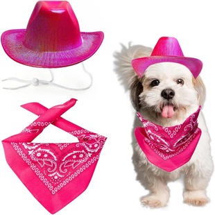 Magic color Denim pet hat cat hat puppy Denim shiny crystal hat pet party holiday hat