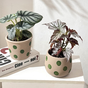 ���W�W�tins�ɐ۲�ɫ���c������ֵ�҃ȼҾ�͸���ֲ�������l