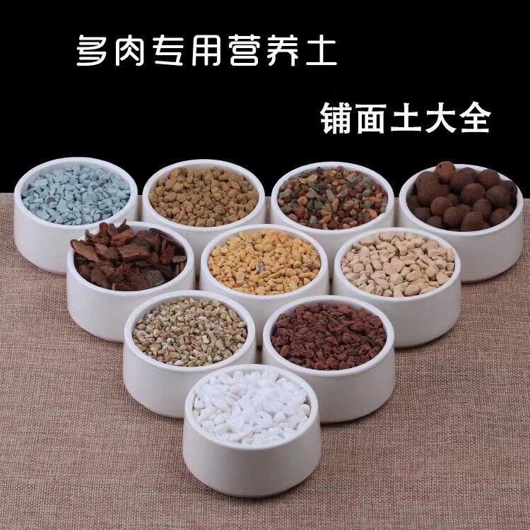 Fleshy Potted Plant Paving Stone Nutrient Soil Volcanic Stone Flower Cultivation Universal Paving Medium Horticultural Cultivation Substrate Peat Soil