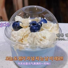 PET一次性透明奶茶杯盖78/98/93/95/96/98/107球盖拱盖半圆盖塑料