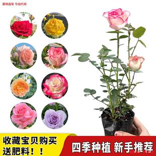 �¼������ļ��_���������ش󻨻�����С���҃����̨�����Nޱõ��