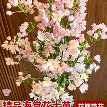 ���z���Ļ������ļ��_�������Ϙ��r����ֲ���辰�Gֲ�҃��껨���B