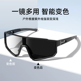 框架眼镜;太阳镜;老花镜