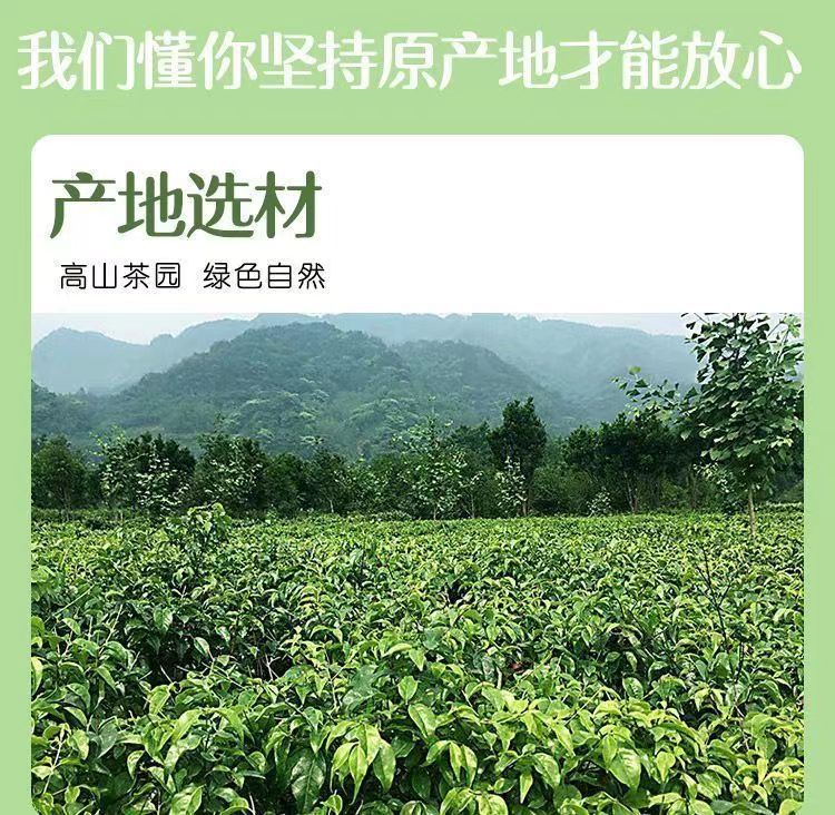 Small Leaf Kuding Tea Ku Ding Cha 100g Premium Tender Buds Herbal Tea for Daily Hot Brewing quality and texture