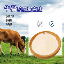 ţzԭ ʳƷ zԭţzԭķ zԭ ţ