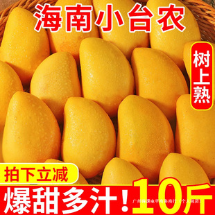 ����С̨�râ��10�����rС̨â�����خaˮ���Fժâ�����������]