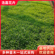 ����ʯ�������� ���@�G����ľ�׳ɻ� �ر�ʯ��G���ݻ�ʯ����ľ