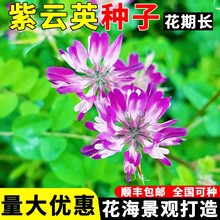 ���Ӣ���N�Ѽt�����^�p�B����Դ�̵����@�G��ֲ��߮a���ݷN��