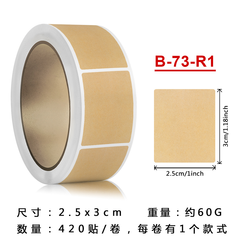 B-73 크래프트 종이 공백; 그림 보기