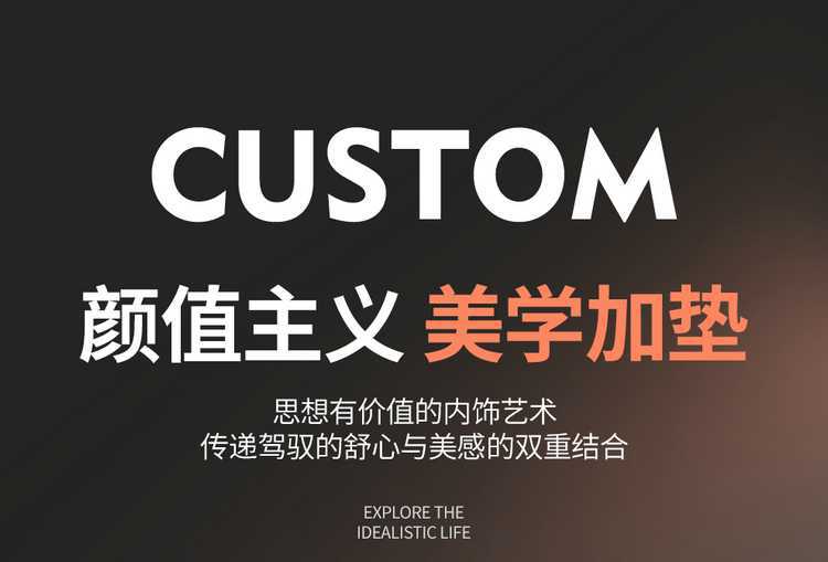 2026 AION V Tyrannosaurus Rex New Energy Vehicle Seat Cushion, All-Season Universal Full Coverage Leather Seat Cover