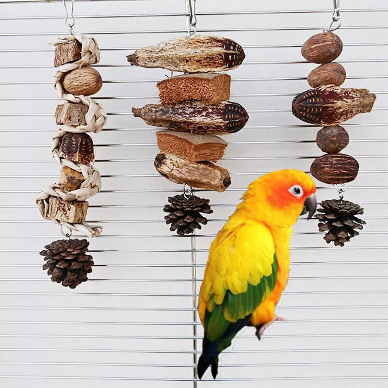 Производители оптовых игрушек для птиц попугай натуральные фрукты кусать шашлык