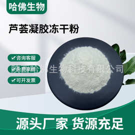 芦荟凝胶冻干粉100：1 芦荟冻干粉 水溶性库拉索芦荟提取物