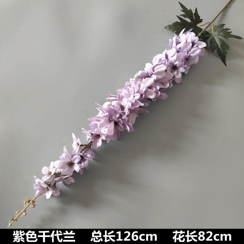 보라색 천년 난초