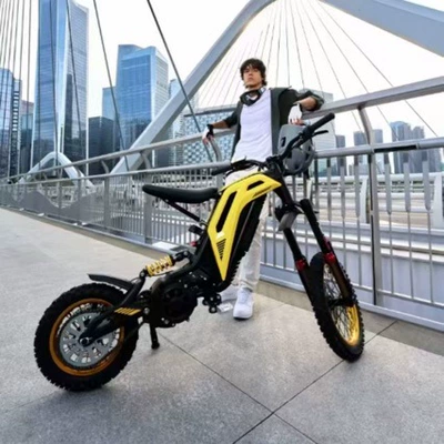 79Bike Titaone-S New Electric Off-Road Motorcycle Black Bee Rattlesnake 48V25Ah Track Vehicle