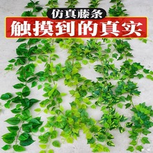 ����G�}�~���~�b����ϱڒ�ٻ��ٗl�����G�~�p�@���{ˮ�ܵ��ړ�