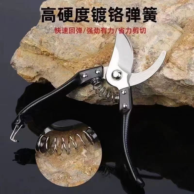果樹剪定鋏、枝専用花鋏、剪定鋏、強力花果樹剪定、園芸|undefined
