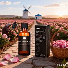 �羳õ�徫�����w��Ħ�����Q���Ͱ�Ħõ���沿�o�w���w��Ħ����