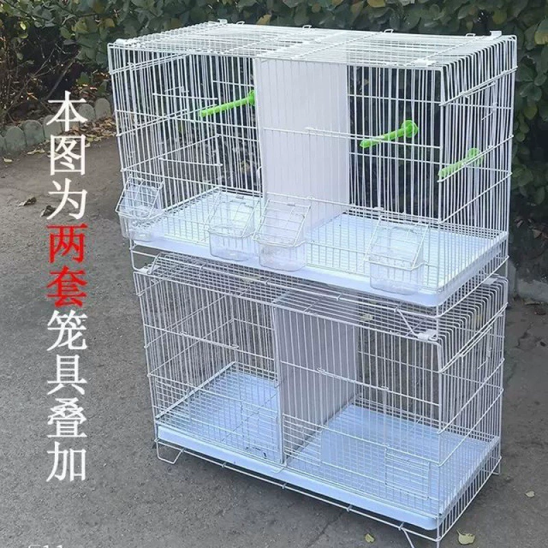 Птичья клетка парная клетка гнездовая клетка размножения клетка зашифрована жирным попугаем гибискуса птицы текст птичья клетка нефритовая клетка для птиц оптом