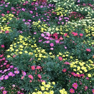 ���������r�����Զ����������ļ��_���҃��̨ͥԺ����ֲ��С�r��