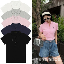 ļ¿СR̽ITŮͬeٴɫPolo