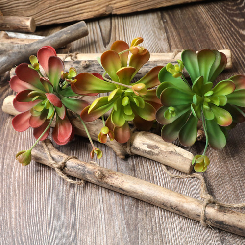 Cross-border blue lotus succulent plant simulation flower wedding succulent family background flower wall photography green plant MW17682