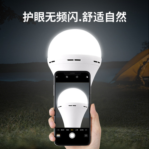 Emergency LED light bulb, automatic light bulb when encountering water during power outage, E27 screw bulb, household hand-held induction LED light
