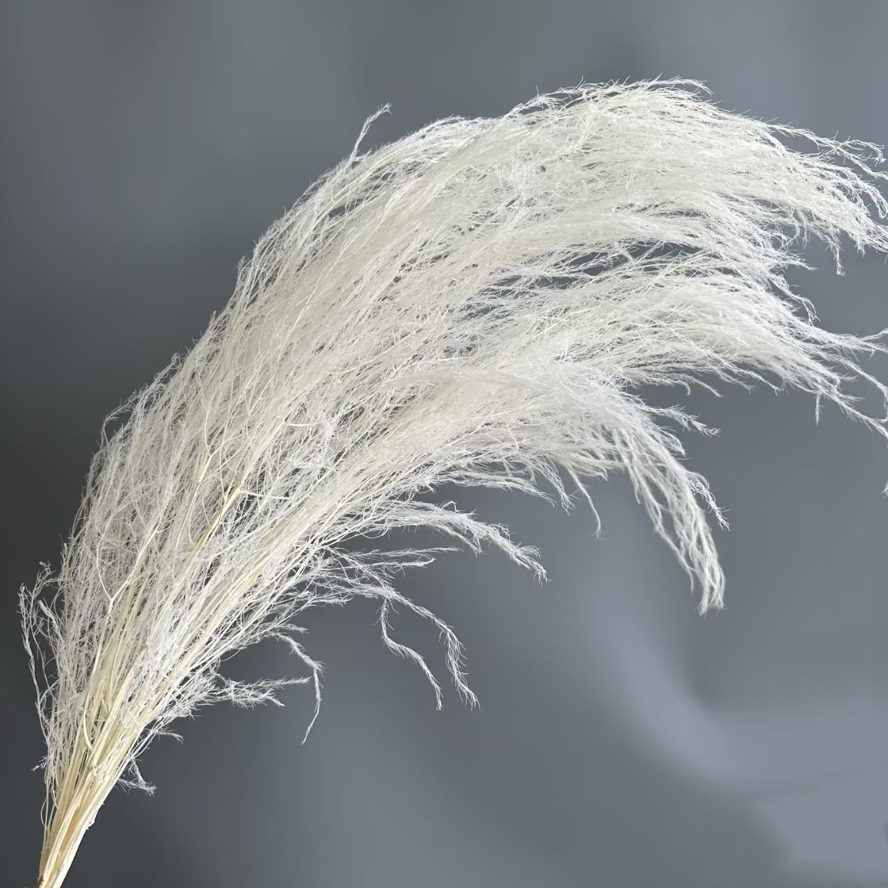 Florista sueña material floral suave decoración de bodas hierba de pelo seco flores eternas multicolores al por mayor