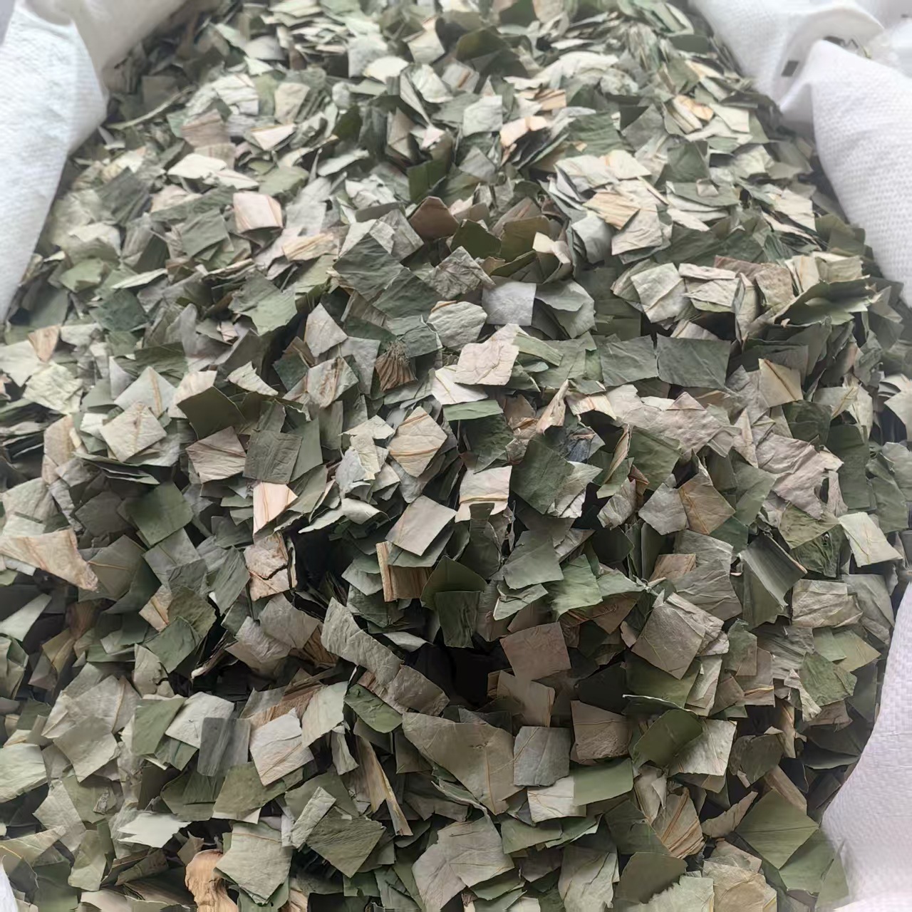 Dried Lotus Leaf He Ye 500g Herbal Tea Ingredient Green Cut Leaves for Infusions and Decoctions quality and texture
