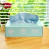 Blue 20 pieces in 1 box (20*20CM)