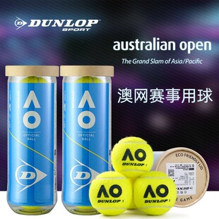 DUNLOP�����վW���F�ްľWAO��ِ����ߏ����ʹ�W��Ӗ����3���b