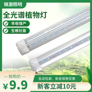 ȫ���V����ֲ���a������ß�ֲ�҃ȷ�̫�ȫ���Vledֲ�����L��