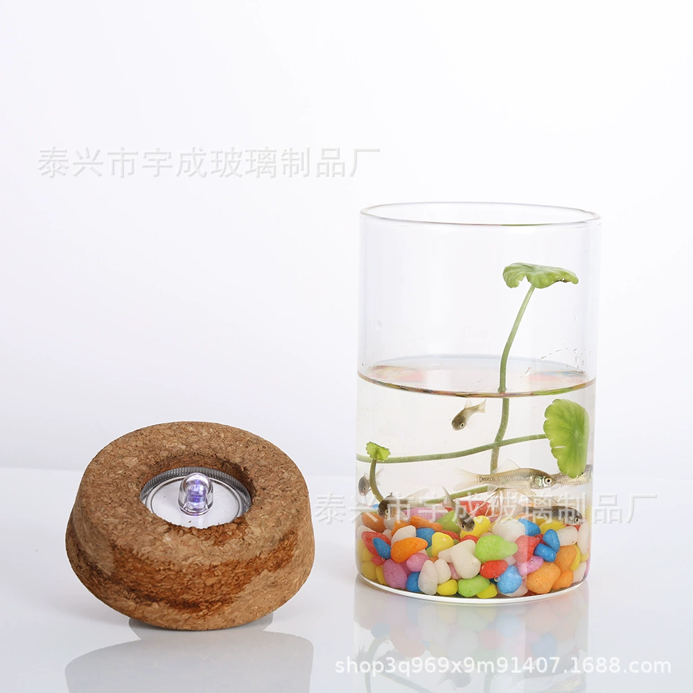 Офисные украшения стеклянная ваза с цветными огнями ландшафтные вазы с отверстиями