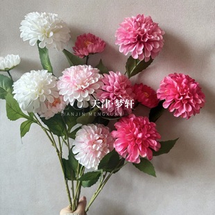 ��c3�^�䳲�����㻨 ����������Ҿ�ܛ�b�[�����߷�ɫϵ����