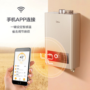 ����JSQ30-CA3 �a��ʽȼ���ˮ�� Ħ���� 12T ��o�әCе����